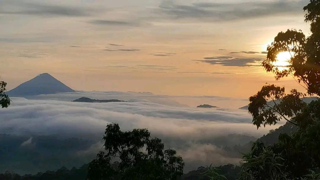 Arnolds Familly Homestay Bajawa 外观 照片